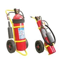 Wheeled Fire Extinguishers-cards